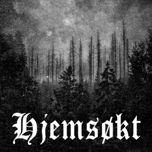 Hjemsøkt : Steinens M​ø​rke S​ø​vn